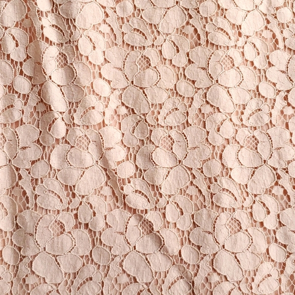 Talula Aritzia Betty Lace Tank - Picture 4 of 5